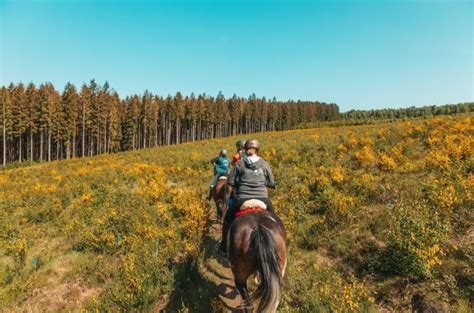 Tips voor uitstapjes naar de Ardennen